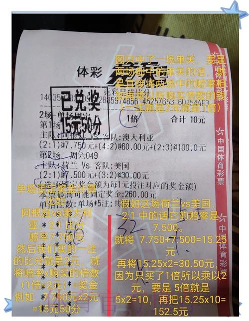 世界杯外围投注前景解析:专家预测助你盈利 世界杯外围投注前景解析:专家预测助你盈利